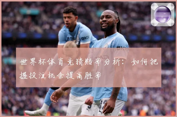 世界杯体育竞猜赔率分析：如何把握投注机会提高胜率