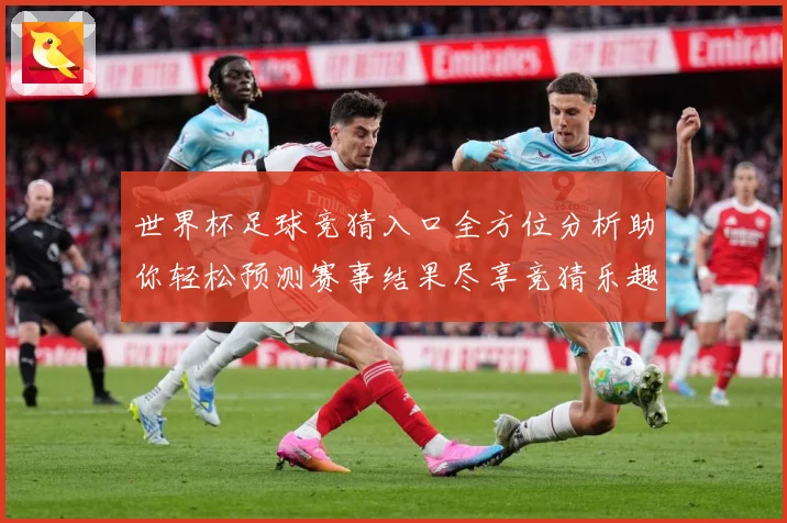 世界杯足球竞猜入口全方位分析助你轻松预测赛事结果尽享竞猜乐趣